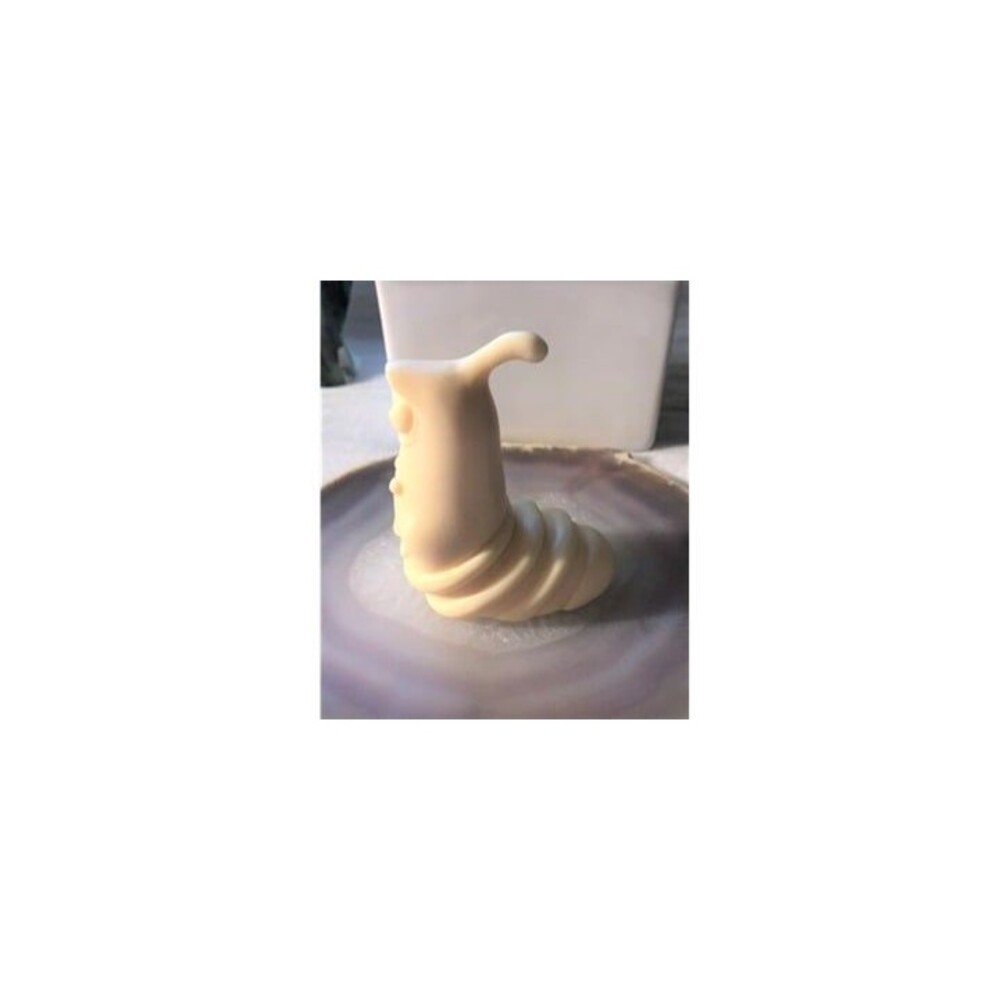 Ivory Fruit Larva Carving - Secrets of a Snail